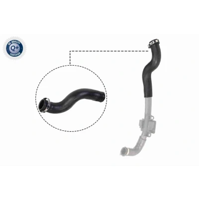 Imagem de VAICO V46 0830 Mangueira Para o Turbocompressor Borracha com entretela Original Quality RENAULT: Kangoo II Express, / Grand