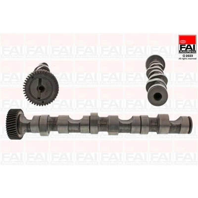 Imagem de FAI AutoParts C247 Árvore de Cames para cilindro 4 6 VOLKSWAGEN: Passat B5 GP Variant, Sedan, AUDI: A4 B6 Sedan