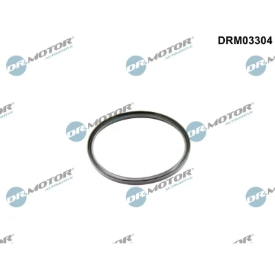 Imagem de DR.MOTOR AUTOMOTIVE DRM03304 Retentor, tubo do ar de sobrealimentação BMW: 5 Sedan, Touring, 1 Hatchback