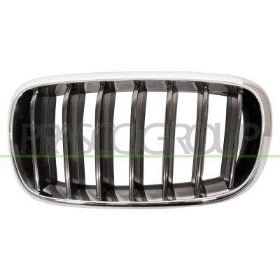 Imagem de BLIC 6502 07 00969911P Grelha de Radiador à frente, lado esquerdo crómio, preto BMW: X5