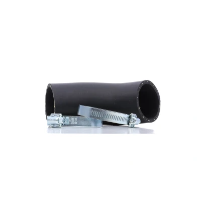 Imagem de BUGIAD 84601 Mangueira Para o Turbocompressor 62 BMW: 3 Sedan, Touring, Compact
