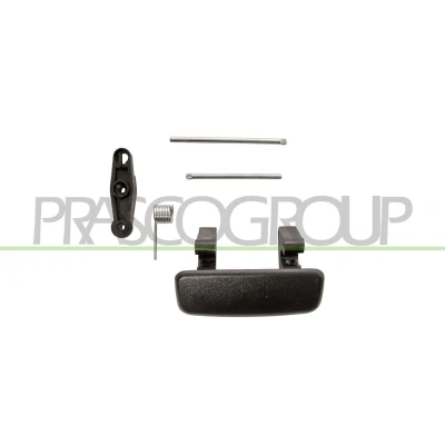 Imagem de PRASCO DS9608801 Puxadores de Porta exterior, traseira direita preto