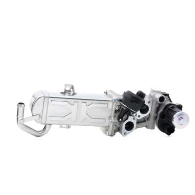 Imagem de PIERBURG 7.09720.00.0 Válvula EGR elétrico com junta VOLKSWAGEN: Jetta 4, Tiguan I, Caddy 3, AUDI: A3 Sportback, Hatchback, SEAT: Ibiza 4 endado,