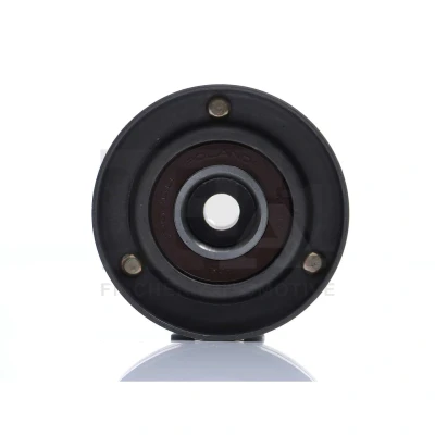 Imagem de FA1 RZ2205 911 Polia de Desvio RENAULT: LAGUNA 1
