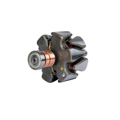 Imagem de BOSCH 1 986 AE0 787 Rotor, alternador