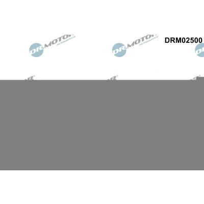 Imagem de Retentor, commando de válvulas Dr.Motor Automotive DRM02500