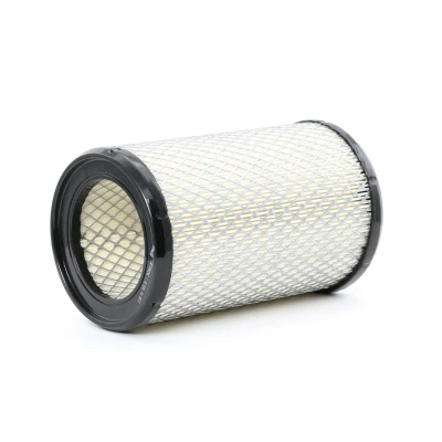 Imagem de CHAMPION CAF100434C Filtro de ar 179 110 Cartucho filtrante RENAULT: CLIO 2, 1, 2 Kasten, NISSAN: Kubistar Van, HYUNDAI: H100 Minibus