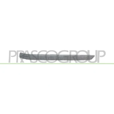 Imagem de Friso, pára choques PRASCO BM0181254