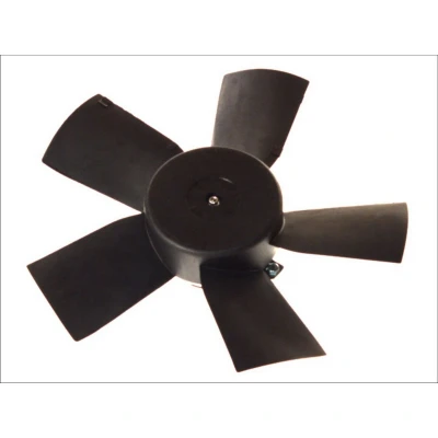 Imagem de Ventilador, arrefecimento do motor THERMOTEC D8X003TT