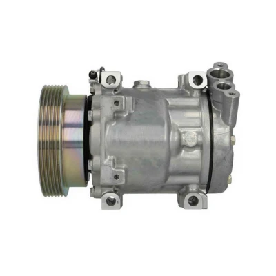 Imagem de NISSENS 89148 Compressor SD7V16 12 PAG 46 R 134a RENAULT: CLIO 2