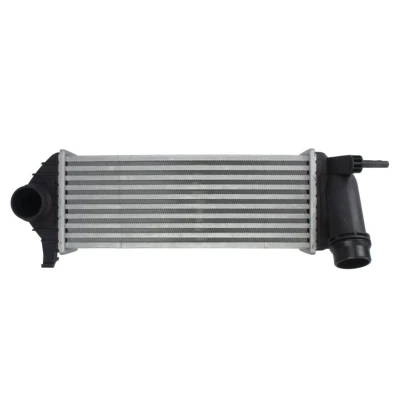 Imagem de MAGNETI MARELLI 351319205510 Intercooler RENAULT: Kangoo II / Grand Kangoo, Express