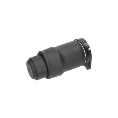 Imagem de KAVO PARTS SAS 10021 Mola pneumática, chassis Eixo traseiro