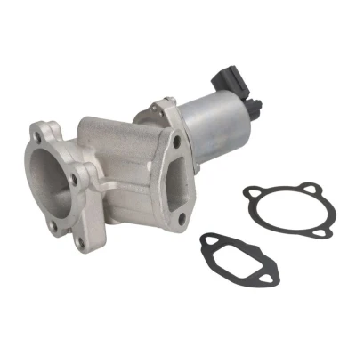 Imagem de NGK 92574 Válvula EGR elétrico com juntas OPEL: Corsa C Hatchback, D Combo Van / Carrinha, FIAT: Doblo I Cargo, Panda II Hatchback