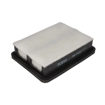 Imagem de PURRO PUR PA8167 Filtro de ar 58,5 173 228 Cartucho filtrante MAZDA: CX 3, 3 Hatchback, Sedan