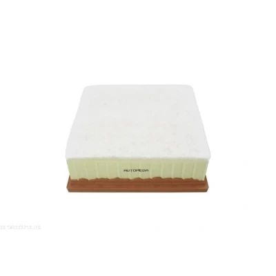 Imagem de AUTOMEGA 180022710 Filtro de ar 62 200 207 rectangular Cartucho filtrante OPEL: Meriva B