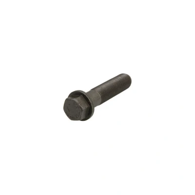 Imagem de FEBI BILSTEIN 06076 Parafuso do volante motor