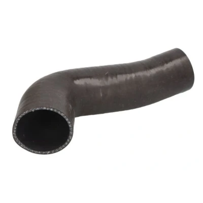 Imagem de Mangueira de ar reforço THERMOTEC DCV078TT