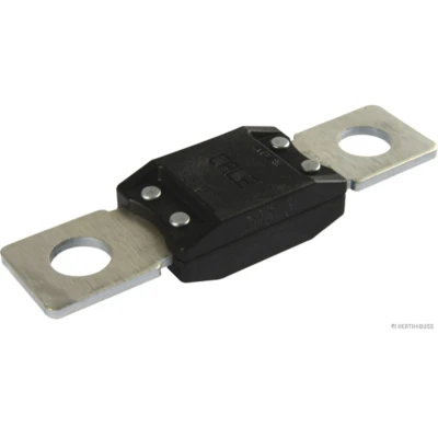 Imagem de HERTH+BUSS ELPARTS 50295842 Fusível preto 32