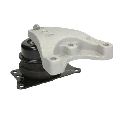 Imagem de REINHOCH RH11 0123 Suporte, motor à direita Apoio hidráulico SEAT: Ibiza 3, 4 Sportcoupe, 4, VOLKSWAGEN: Polo IV Hatchback