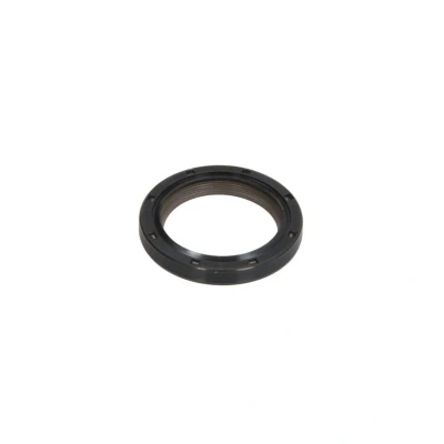 Imagem de REINZ 81 38627 00 Retentor da Árvore de Cames RENAULT: CLIO 2, LAGUNA Scénic 1