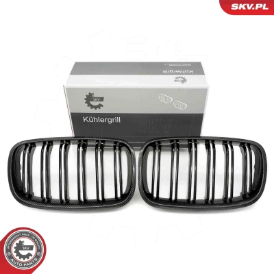 Imagem de ESEN SKV 66SKV290 Grelha de Radiador carbono BMW: X5