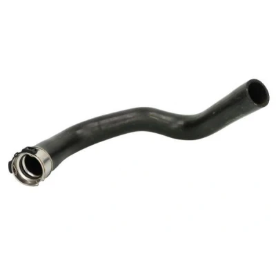 Imagem de Tubo flexível do ar de sobrealimentação THERMOTEC DC1513TT