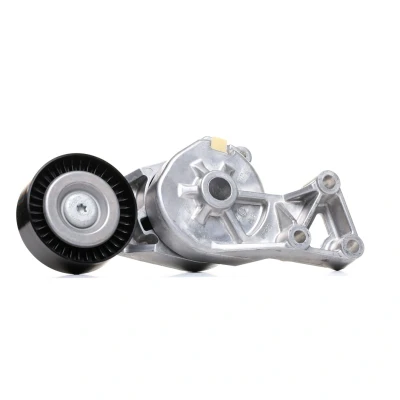 Imagem de SKF VKM 31019 Polia Tensora SEAT: Leon I Hatchback, Alhambra I, Toledo 2 Limousine, VOLKSWAGEN: Golf 4, Bora Sedan, 4 Variant, AUDI: A3 Hatchback