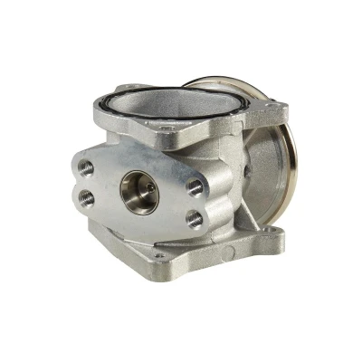 Imagem de HELLA 6NU 010 171 301 Válvula EGR comandado por vácuo com juntas VOLKSWAGEN: Golf 4, 5, Polo IV Hatchback, AUDI: A3 Sportback, Hatchback