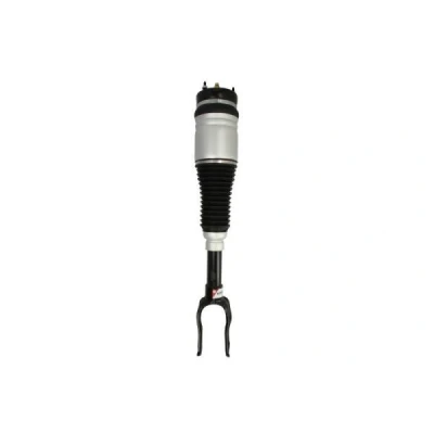 Imagem de Magnum Technology APY002MT Elemento de suspensão pneumática à frente, lado direito