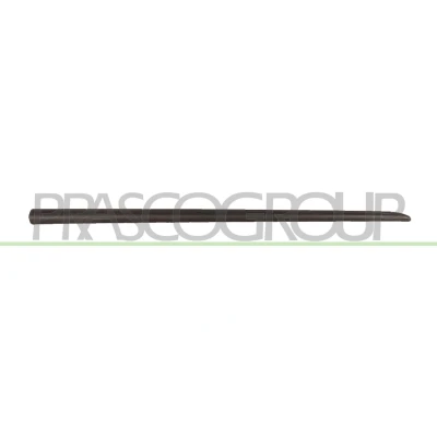 Imagem de PRASCO FT3421403 Friso Porta