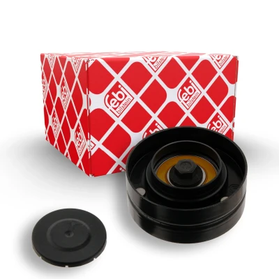 Imagem de FEBI BILSTEIN 30893 Polia de Desvio