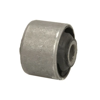 Imagem de DELPHI TD695W Bucha de Eixo