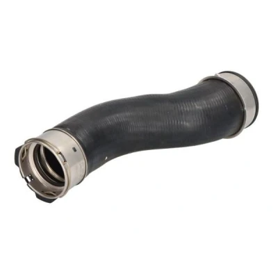 Imagem de THERMOTEC DCB075TT Mangueira Para o Turbocompressor BMW: X5