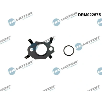Imagem de DR.MOTOR AUTOMOTIVE DRM02257S Jogo de vedantes, sistema recirculação gases escape PEUGEOT: Boxer Van