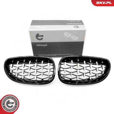 Imagem de ESEN SKV 66SKV175 Grelha de Radiador brilhante, preto, côr prata BMW: 5 Sedan, Touring