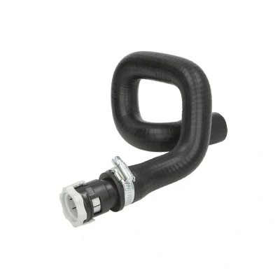 Imagem de Mangueira de admissão, filtro ar THERMOTEC DCG107TT