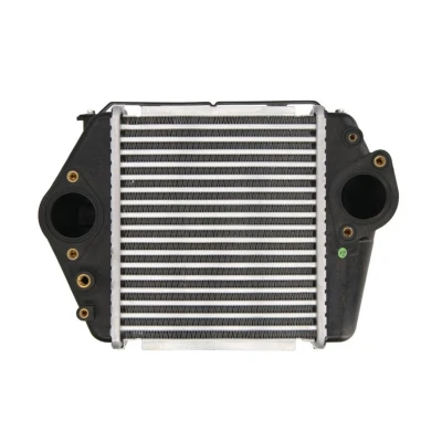 Imagem de THERMOTEC DA3004TT Intercooler
