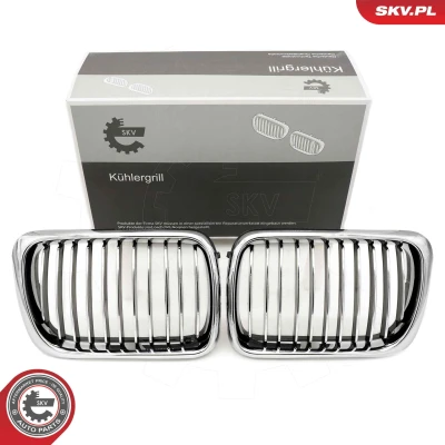 Imagem de ESEN SKV 66SKV052 Grelha de Radiador crómio BMW: 3 Sedan, Coupe, Compact