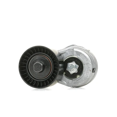 Imagem de INA 534 0109 20 Tensor, correia trapezoidal estriada FIAT: BRAVO 1, ALFA ROMEO: 147, LANCIA: DELTA 2