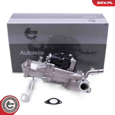 Imagem de ESEN SKV 14SKV250 Válvula EGR PEUGEOT: 308 SW 2, I Hatchback, 207 CITROËN: C4 Grand Picasso, Berlingo / First