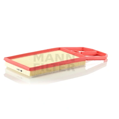 Imagem de MANN FILTER C 4287/1 Filtro de ar 32 188 417 Cartucho filtrante VOLKSWAGEN: Golf 4, Polo III Hatchback, 4 Variant, SEAT: Ibiza 3, 2