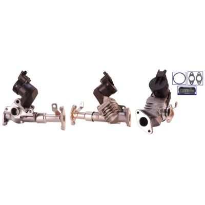 Imagem de ELSTOCK 73 0167 Válvula EGR elétrico com juntas BMW: 3 Touring, 1 Hatchback, 5 Sedan