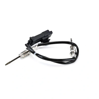 Imagem de DELPHI TS30338 12B1 Sensor PEUGEOT: 308 SW 2, CITROËN: C3 II