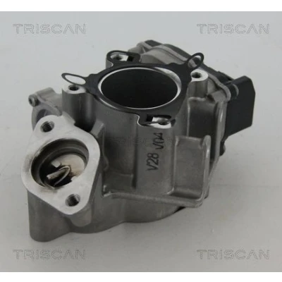 Imagem de TRISCAN 8813 24039 Válvula EGR elétrico com juntas RENAULT: MEGANE 3 Grandtour, LAGUNA 3, OPEL: Vivaro A Van