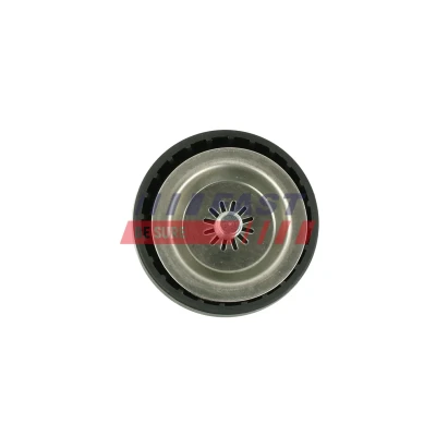 Imagem de Rolo tensor, correia trapezoidal estriada FAST FT44667