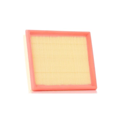 Imagem de AUTOMEGA 180034110 Filtro de ar 42 170 206 rectangular Cartucho filtrante CITROËN: Xsara Picasso, Carrinha, Coupe, FORD: Focus 2 Kombi