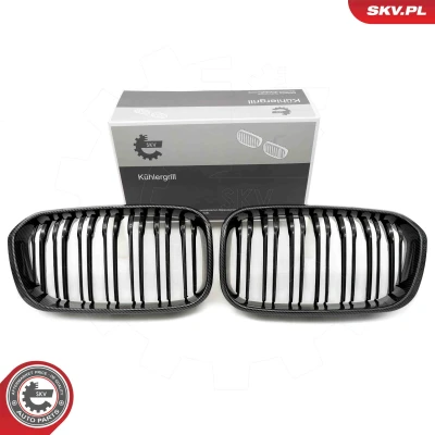 Imagem de ESEN SKV 66SKV019 Grelha de Radiador carbono BMW: 1 Hatchback