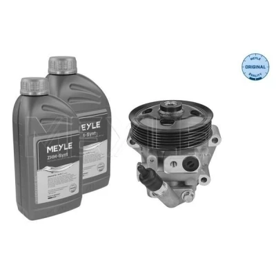 Imagem de MEYLE 714 631 0035/S Bomba de Direção hidráulico com óleo para lavagem FORD: S Max Mk1, Galaxy Mk2 MPV