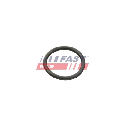 Imagem de FAST FT50407 Coletor de Admissão MERCEDES BENZ: Sprinter 3.5 T Van