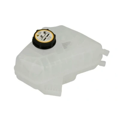 Imagem de THERMOTEC DBG022TT Depósito de Compensação Refrigerante FORD: FIESTA 6, Ecosport Mk2